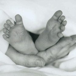Journey Through Childbirth