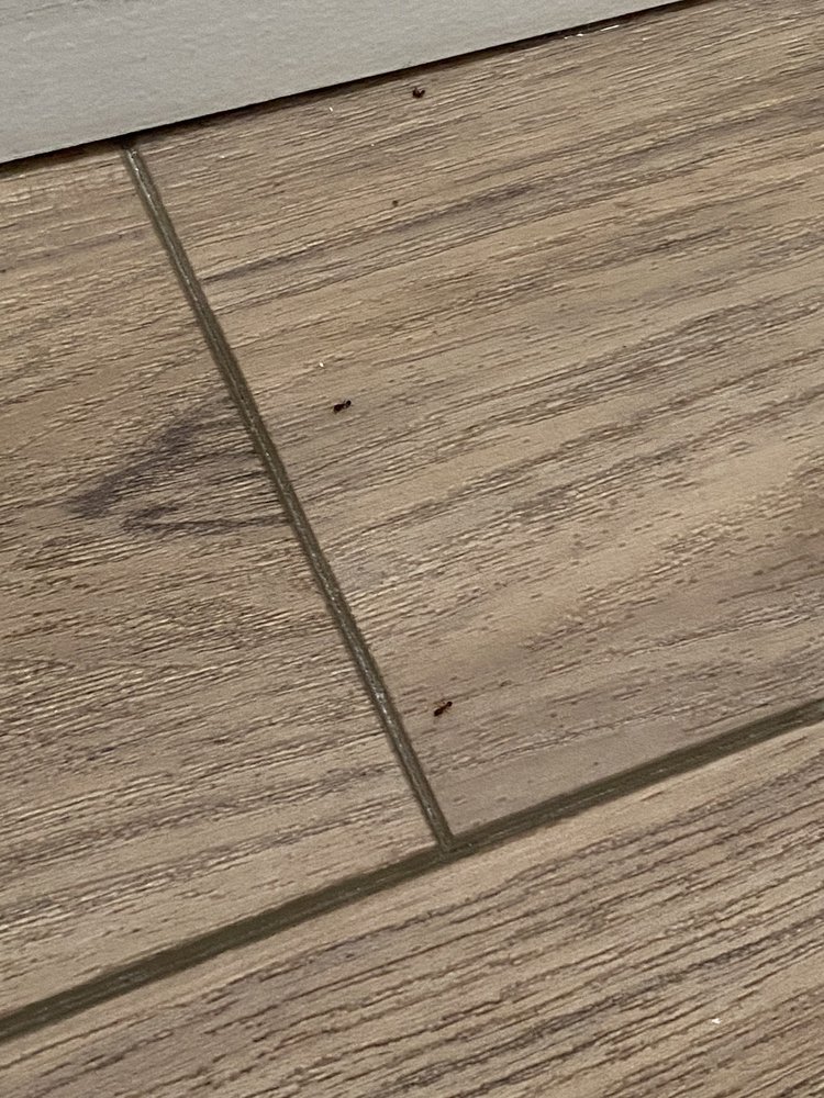 ENDLESS COAST, A BOUTIQUE HOTEL Updated June 2024 12 Photos 2068