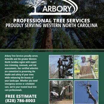 Arbory Tree Services - Western North Carolina professional tree services - Tree Services Near Me