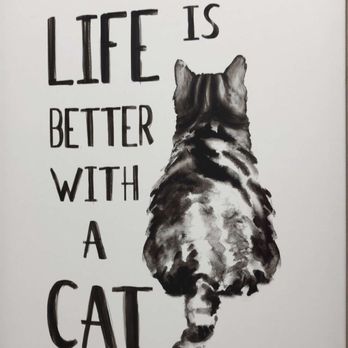 Good Life Veterinary Care - Picture in the Exam room - Veterinarians Near Me - Gurnee, Illinois