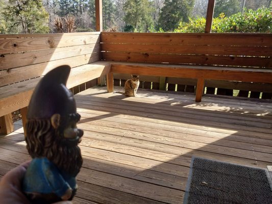 Mississippi Petrified Forest by null