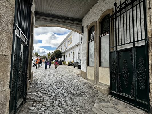 Real Companhia Velha by null