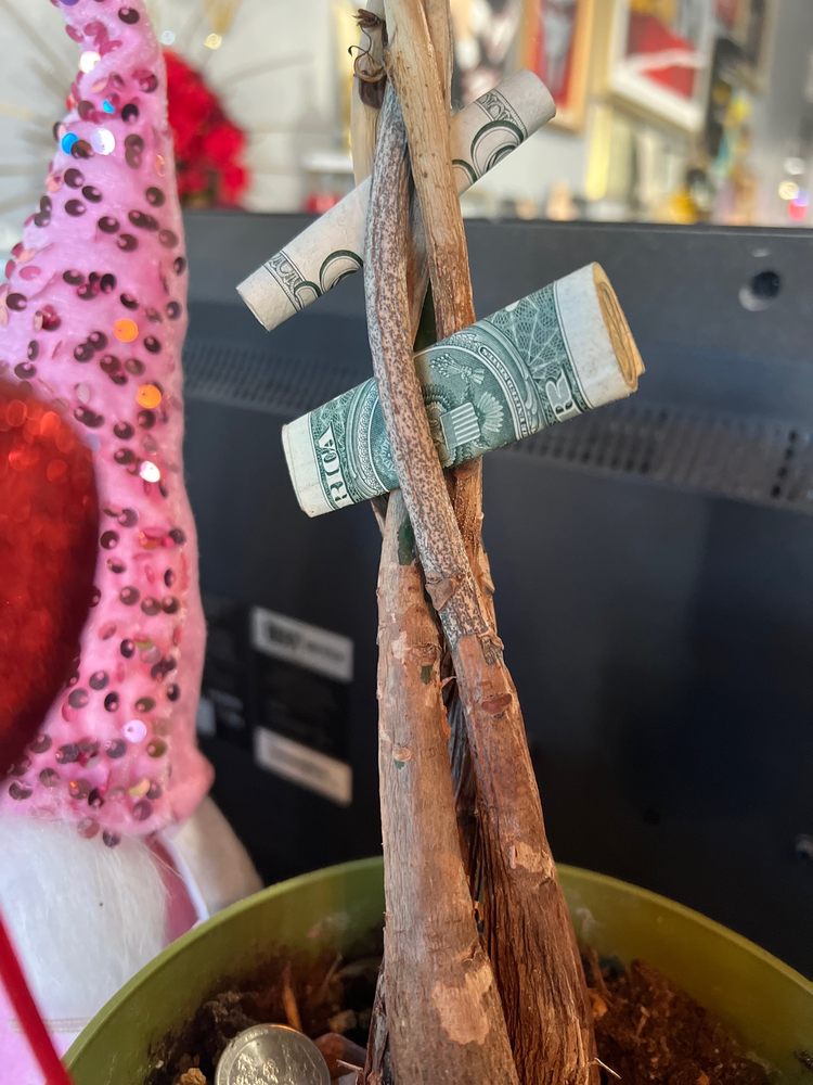 Queens of Needles Logo