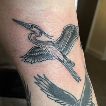 Good Vibrations Ink 2 Tattoo And Body Piercing - Bird tattoo on back side of knee - Tattoo Near Me - Orlando, Florida Good Vibrations Ink 2 Tattoo And Body Piercing - Bird tattoo on back side of knee - Tattoo Near Me - Orlando, Florida