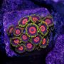 Photo of Hydros Aquatics