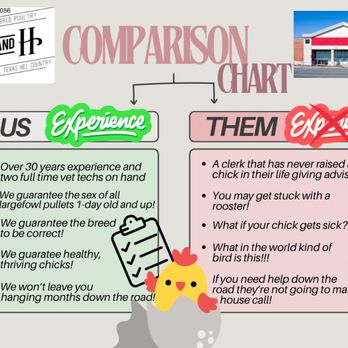 H and H Poultry - We are the best baby chick business in all of Texas! - Pet Stores Near Me H and H Poultry - We are the best baby chick business in all of Texas! - Pet Stores Near Me