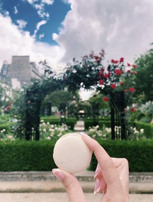 Le Jardin Sucré by null