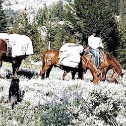 Kirkwood Sierra Outfitters