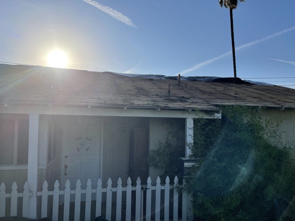 Slide of A J M D Mendoza