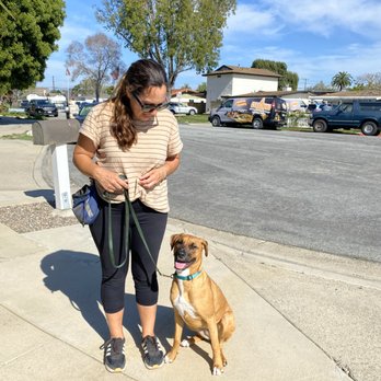 For a Civilized Dog - Kobe and trainer - Pet Training Near Me - Newport Beach, California For a Civilized Dog - Kobe and trainer - Pet Training Near Me - Newport Beach, California