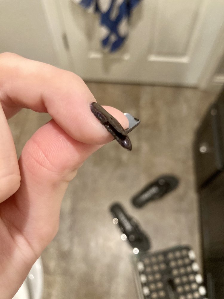 PREMIER NAILS & SPA Updated October 2024 168 Photos & 149 Reviews