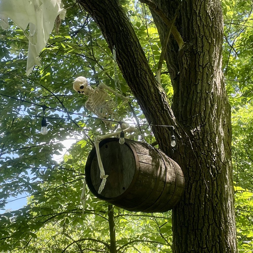 Nova Cellars Winery - a skeleton hanging from a tree - Wineries Near Me - Pulaski, Pennsylvania Nova Cellars Winery - a skeleton hanging from a tree - Wineries Near Me - Pulaski, Pennsylvania