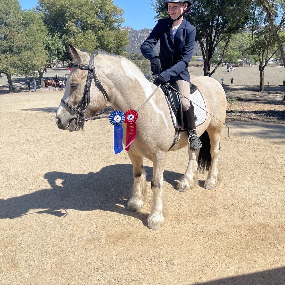 Kathleen Elliott Equestrian Training - Horseback Riding Near Me - Murrieta, California Kathleen Elliott Equestrian Training - Horseback Riding Near Me - Murrieta, California