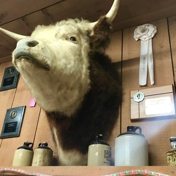 AJ's Lena Maid Meats - a bull head mounted on a wall - Meat Shops Near Me - Lena, Illinois AJ's Lena Maid Meats - a bull head mounted on a wall - Meat Shops Near Me - Lena, Illinois
