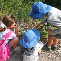 Kidz Hike