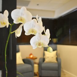 The Maddux A Skin Spa - Rvyve relaxation room