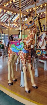 Salem's Riverfront Carousel by null