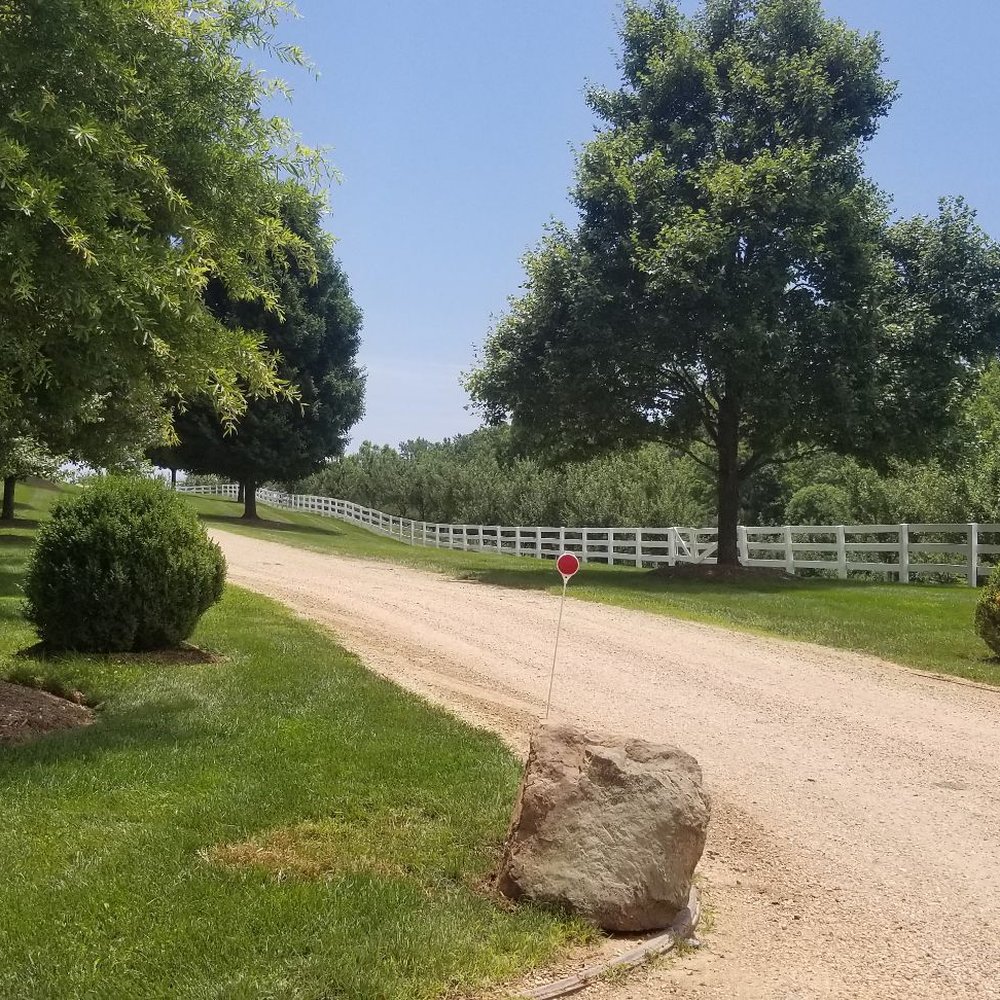 Castle Hill Cider - Cideries Near Me - Keswick, Virginia Castle Hill Cider - Cideries Near Me - Keswick, Virginia