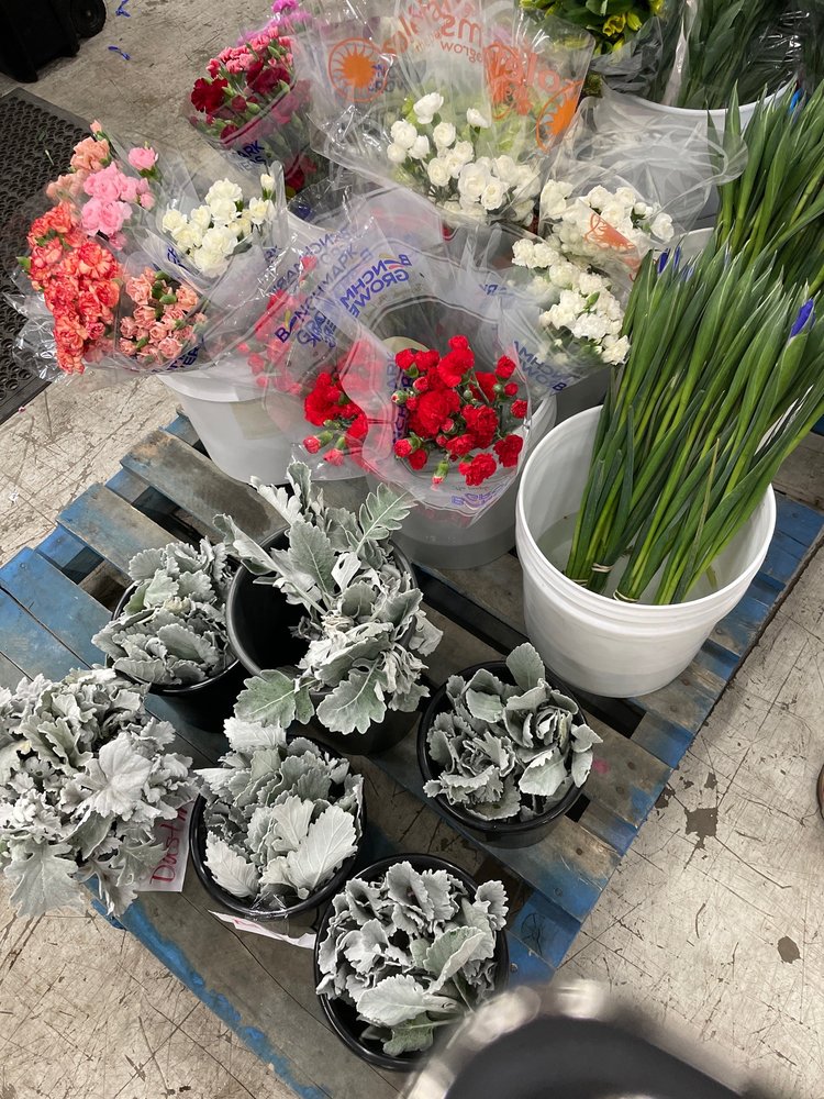 SHAMROCK WHOLESALE FLORIST Updated July 2024 20 Photos 3616