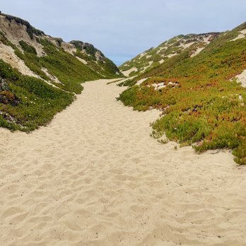 Fort Ord Dunes State Park - Sand trail to the beach. - Beaches Near Me - Marina, California Fort Ord Dunes State Park - Sand trail to the beach. - Beaches Near Me - Marina, California