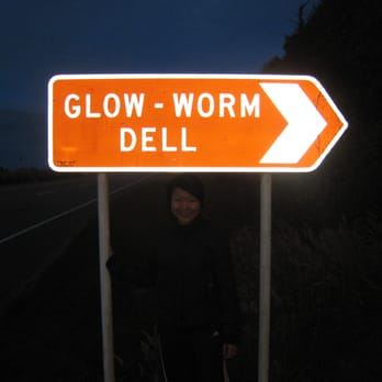 Hokitika Glowworm Dell - Active Life Near Me Hokitika Glowworm Dell - Active Life Near Me