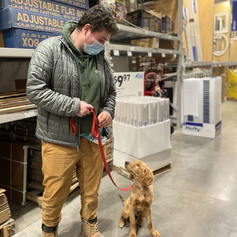 THE BEST 10 Dog Separation Anxiety Training in Syracuse, NY - Quality \u0026  Affordability - Updated 2026 - Yelp, image size:1000x1000