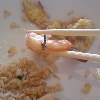 Sapporo East - Shrimp feces anyone? - Japanese Near Me - Mechanicsburg, Pennsylvania