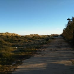 Platja de l'Albre del Gos