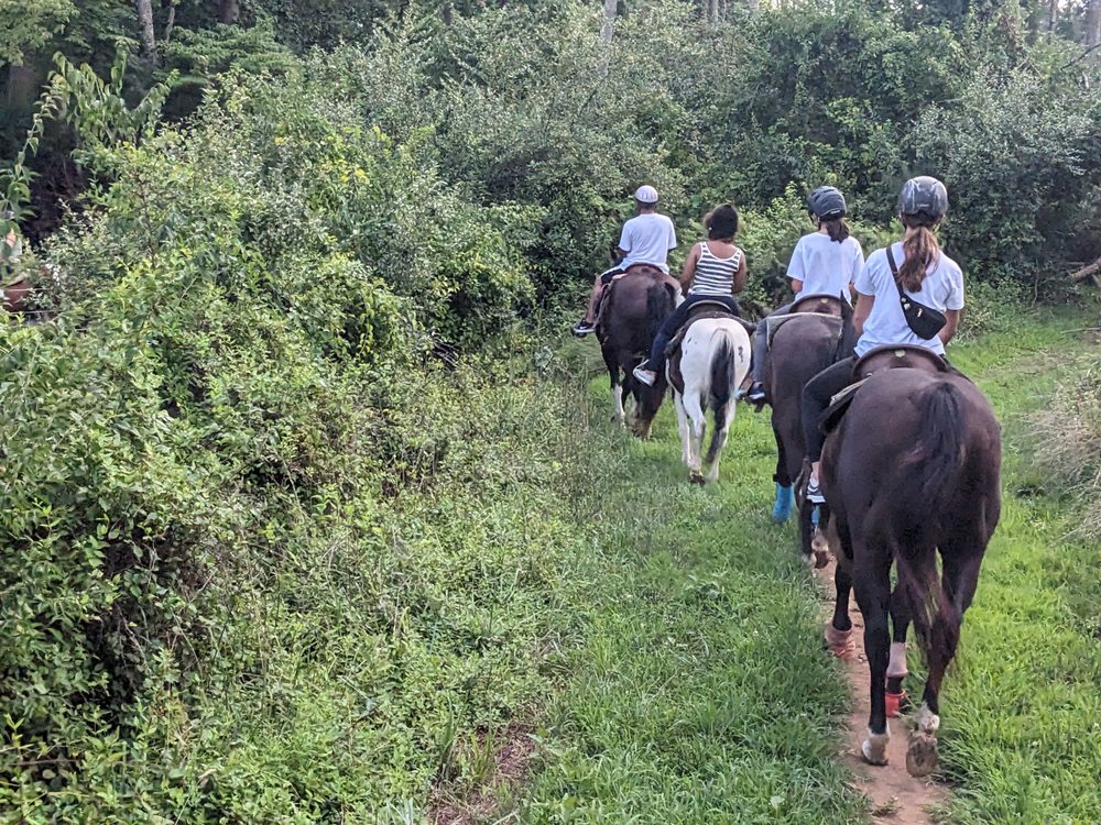 Cloverleaf Stables - equestrian in Chadds Ford, PA