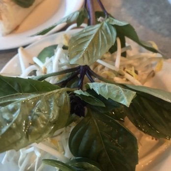 Pho Miss Saigon - Pho herbs - Vietnamese Near Me - Glen Burnie, Maryland Pho Miss Saigon - Pho herbs - Vietnamese Near Me - Glen Burnie, Maryland