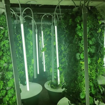 Gather - Underground farm - New American Near Me - Omaha, Nebraska Gather - Underground farm - New American Near Me - Omaha, Nebraska