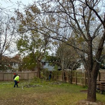 Capitol Tree Care - Tree Services Near Me - Austin, Texas Capitol Tree Care - Tree Services Near Me - Austin, Texas