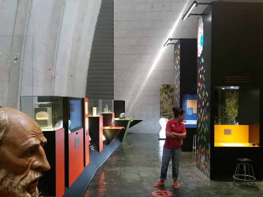 Domus by null