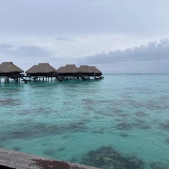 Luxuria Vacations - This vacation was magical, we were celebrating our 40th! - Travel Services Near Me - Miami, Florida