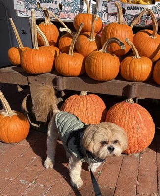 Casa de Fruta by null