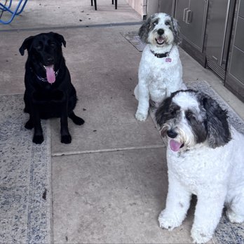 Waterford Veterinary Center - Fur babies. - Veterinarians Near Me - Waterford, California Waterford Veterinary Center - Fur babies. - Veterinarians Near Me - Waterford, California