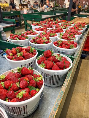 Greensboro Farmers Curb Market by null