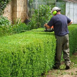 Pat O'Hara & Sons Tree Surgeons - Pat O'Hara & Sons Tree Surgeons, Garden Maintenance, Dublin
