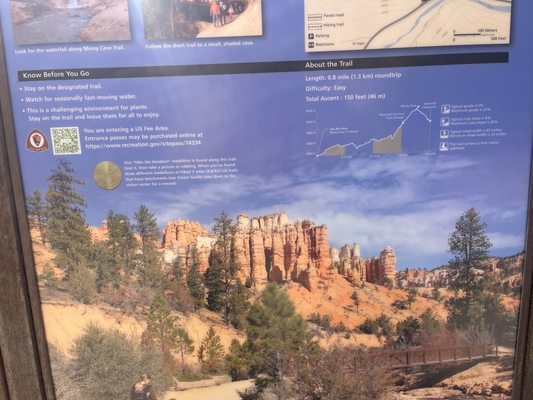 Mossy Cave Trailhead by null