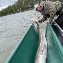 Fraser Fishing Adventures - Sturgeon fish