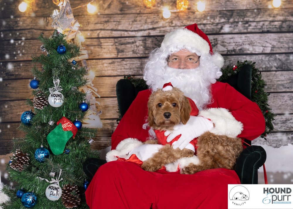 HOUND & PURR Updated September 2024 10 Photos & 10 Reviews 1181