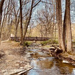 Shale Hollow Park