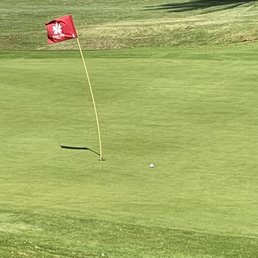 Almost holed out my 80 yard chip for eagle Almost holed out my 80 yard chip for eagle