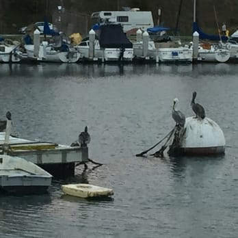 Oceanside Pier - #pelicans by the Harbor #Oceanside @CityofOceanside - Venues & Event Spaces Near Me - Oceanside, California Oceanside Pier - #pelicans by the Harbor #Oceanside @CityofOceanside - Venues & Event Spaces Near Me - Oceanside, California