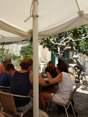 Ristorante Bar Nettuno by null