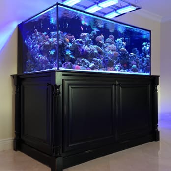 Reef Creations - Starfire... - Aquariums Near Me - Lake Balboa, California