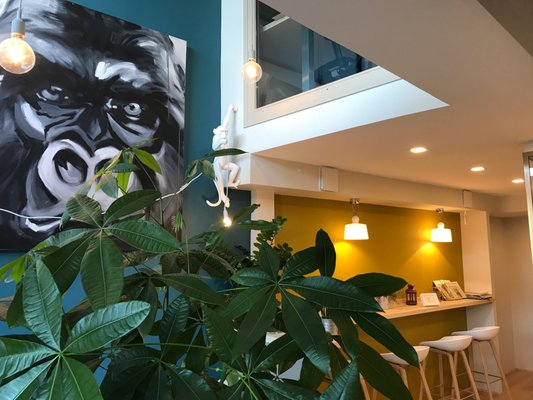 Espace de coworking Lyon - En Face de la piscine by null