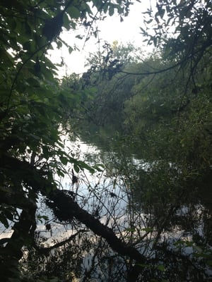 Burke's Canoe Trips by null