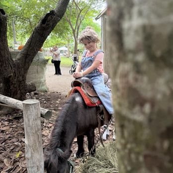 Tinez Farms - Attraction Farms Near Me - Miami, Florida Tinez Farms - Attraction Farms Near Me - Miami, Florida