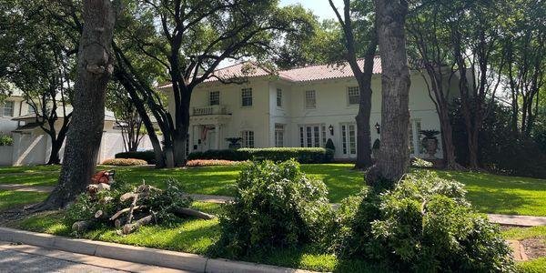 Arbor Amigos - tree service in Fort Worth, TX